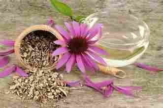 Echinacea Purpurea Pure Extract