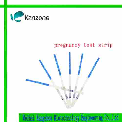 HCG Pregnancy Test Strip 2.5mm