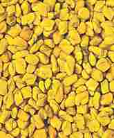 Fenugreek Seed