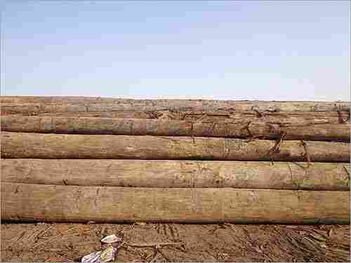 Sal Wood Round Logs