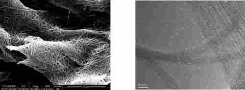 High Purity Single-Walled Carbon Nanotubes