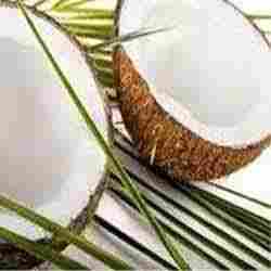 Preserved Coconut
