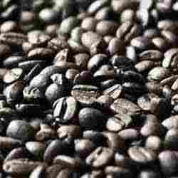 Black Coffee Bean