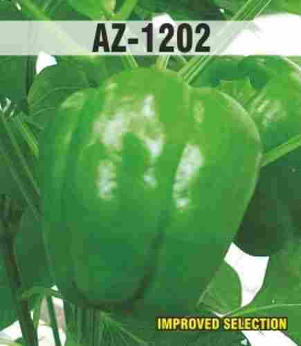 AZ 1202 Capsicum Seeds