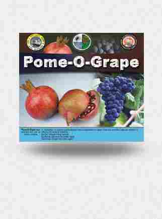 Pome O Grape Plant Nourishing Tonic