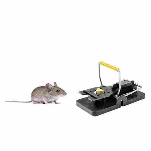 Rat Trap