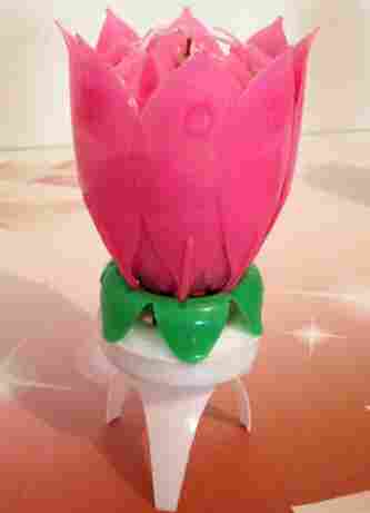 Lotus Flower Musical Birthday Candle
