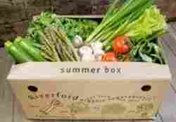 Vegetable Packaging Boxes