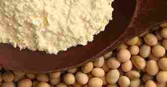 Defatted Soya Flour Enzyme Inactive