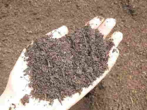 Organic Poultry Manure