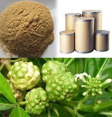 Noni Extract And Powder