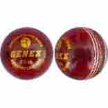 GENEX Cricket Ball