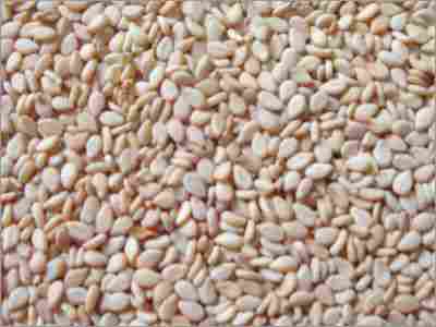 High Quality Natural Sesame Seeds