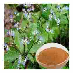 Epimedium Extract