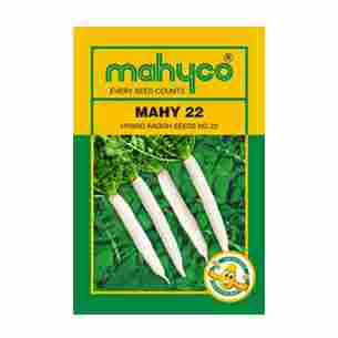 Mahy 22 Hybrid Radish Seeds