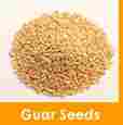 Guar Seeds