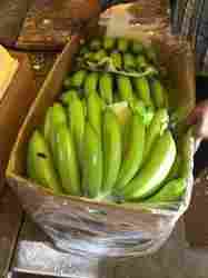 Green Cavendish Fresh Banana