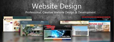 Professional Web Designing