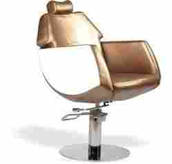Salon Chair Elegant