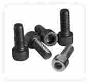 Round Head Short Square Neck Bolts (5/8" To 1.5/8")