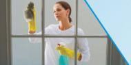 Glass And Mirror Cleaner (Concentrated)