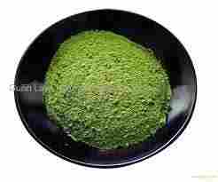 Fresh Green Tea Extract Powder