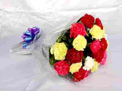 Bright Bunch Of Carnations