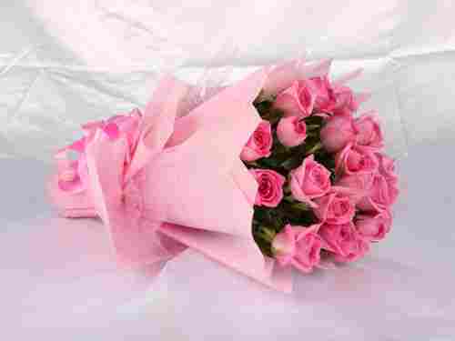 Effulgent Pink Roses