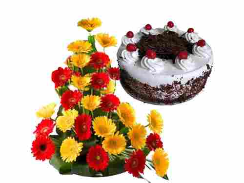 Gerbera Basket With Black Forest Delight Combo