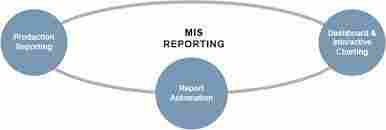 MIS Reporting Services