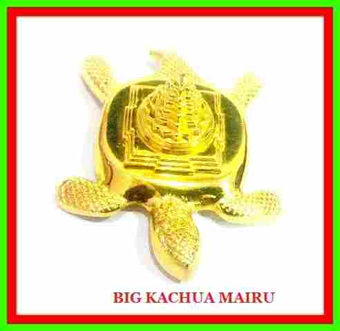 Big Kachua Mairu