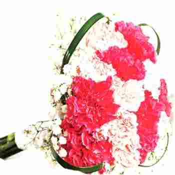 Flowers Bouquet Of Red And Pink Carnations