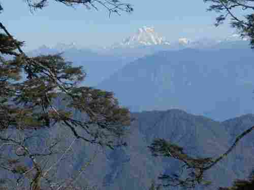 Bhutan Altitude Tour Operator