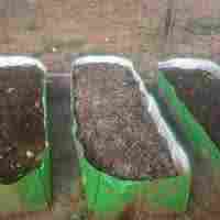 Worm Castings Vermicompost