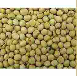 Finest Grade Soyabean Seeds