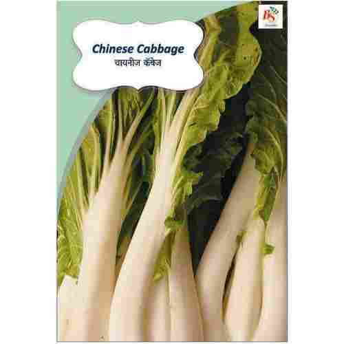 Cabbage Chinese Kichen Garden Packet