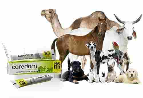 Veterinary Herbal Ointment