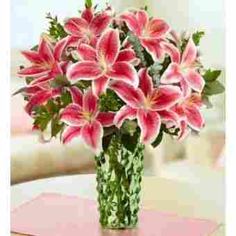 Stunning Pink Lily