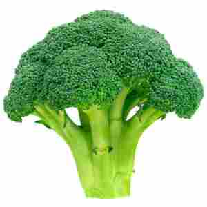 BroccolI green seeds