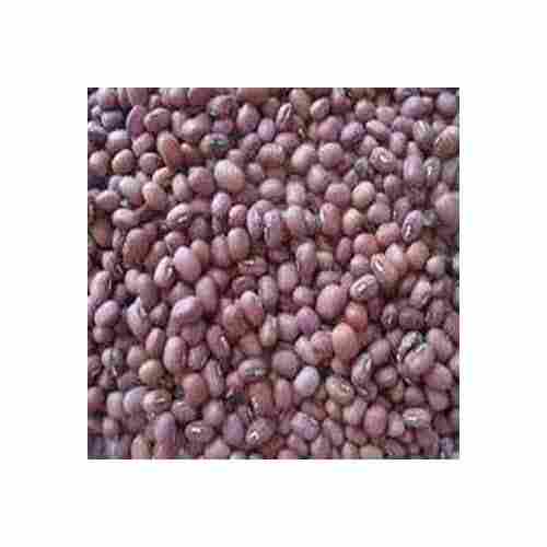 Cow Pea Red Whole