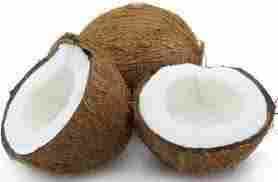 High Quality Coconut