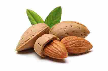 Top Grade Almond Nuts