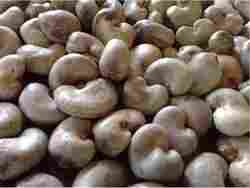 Benin Origin Raw Cashew Nuts