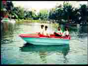 Four Seater FRP Pedal Boat