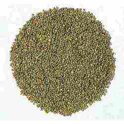 Pure Green Pearl Millet