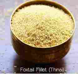 Red Foxtail Millet