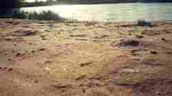 Supreme Grade River Sand