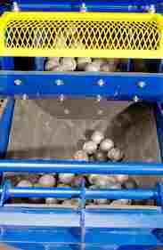 Automated Ball Loader