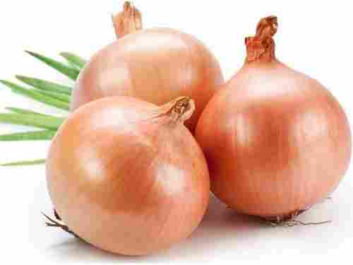 Fresh Onions