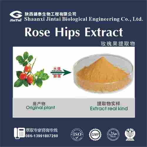 Rose Hip Extract 5%